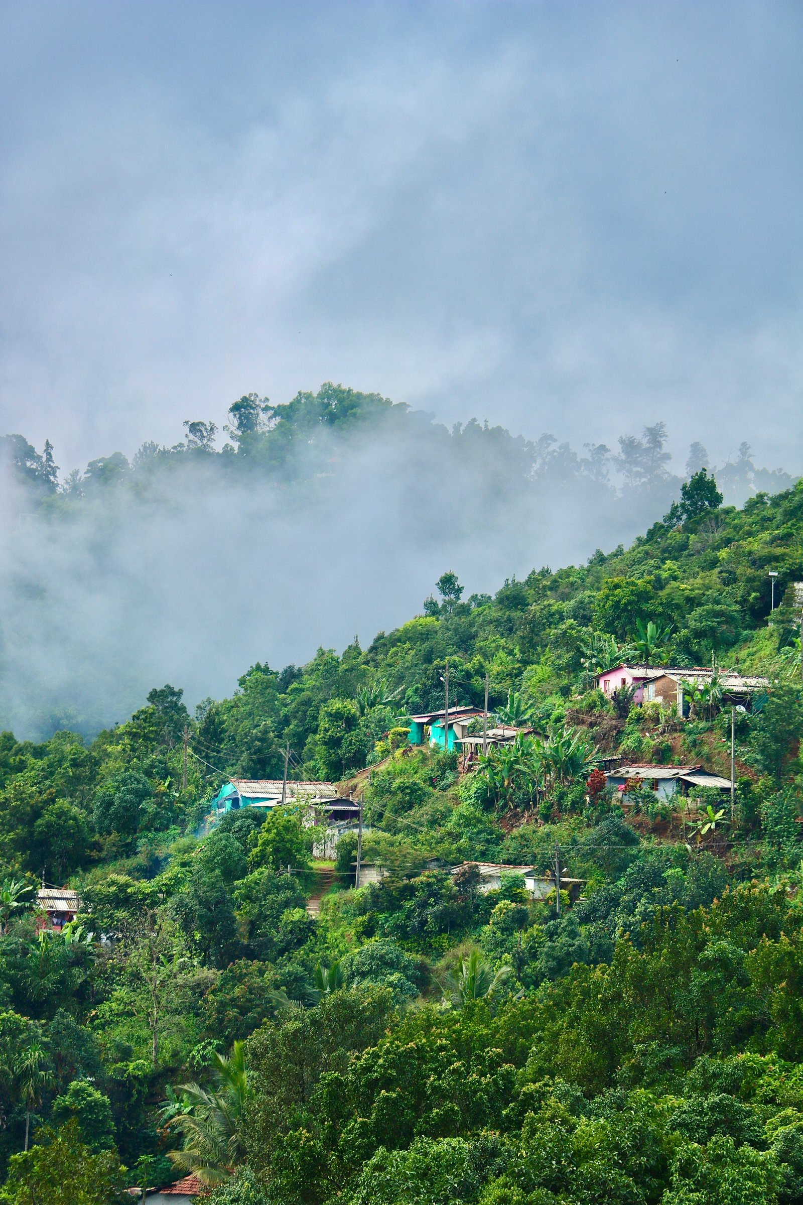 Coorg