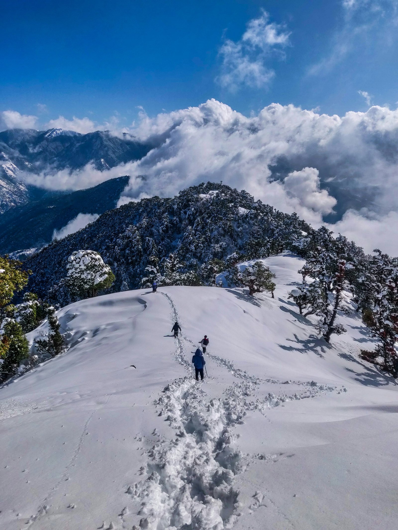 Shimla
